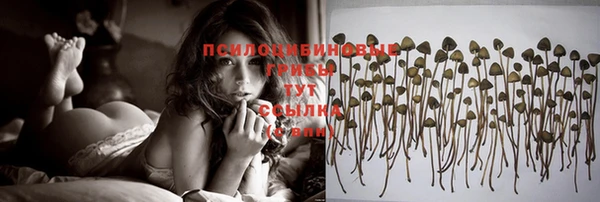 амф Строитель