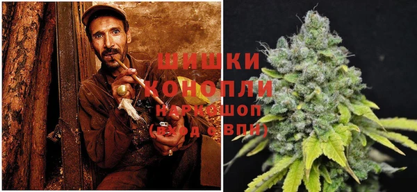 тгк Ступино