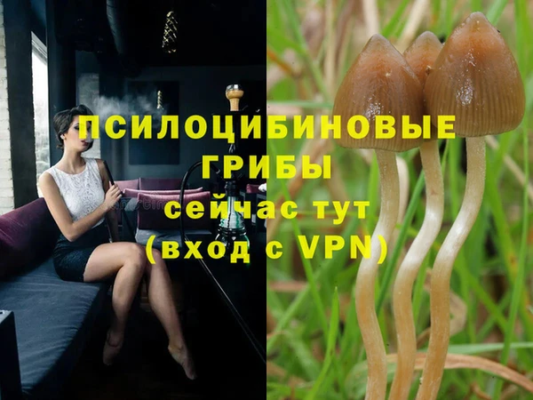тгк Ступино